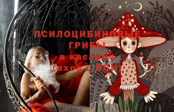 кокс Баксан