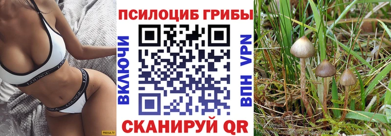 дарк нет телеграм  цены наркотик  Сосновоборск  Псилоцибиновые грибы мухоморы 